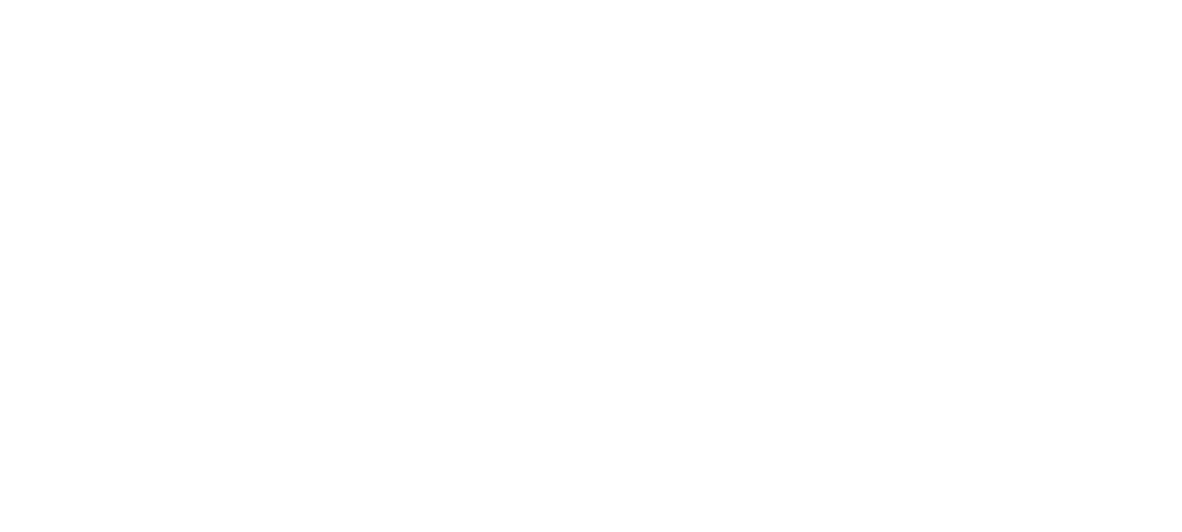 LeverVenture